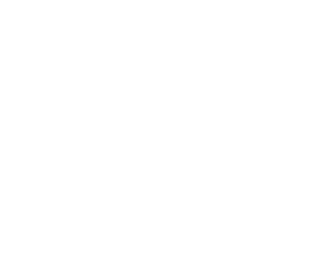 brooklyn diner logo